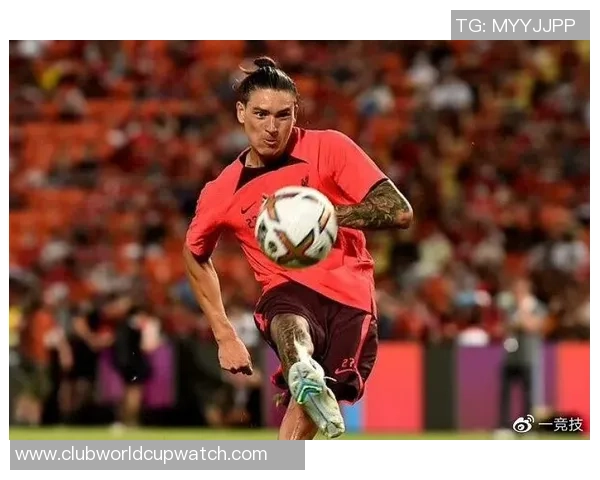 努涅斯在赛场上的精彩表现引发热议球迷期待他未来的成长与突破 努涅斯在赛场上的精彩表现引发热议球迷期待他未来的成长与突破