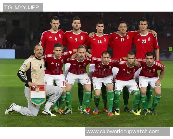 匈牙利与荷兰精彩对决比分直播全程跟踪分析与实时更新