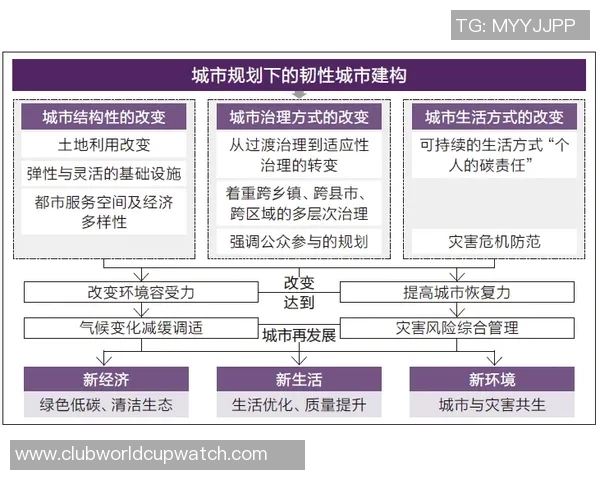 圣何塞地震对比纽约城的城市韧性与应急管理策略分析